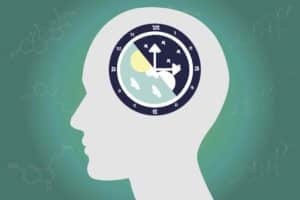 what is circadian rhythm